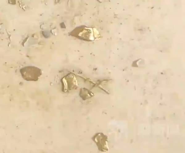  ชายเจอทองในท้องเป็ด กว่าครึ่งแสน