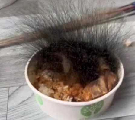 ข้าวกล่อง