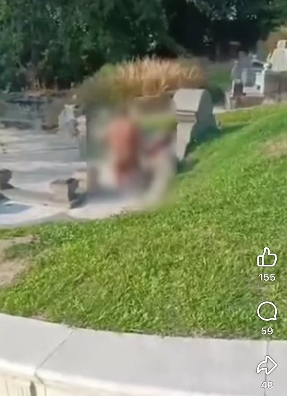 เซ็กส์ในที่สาธารณะ