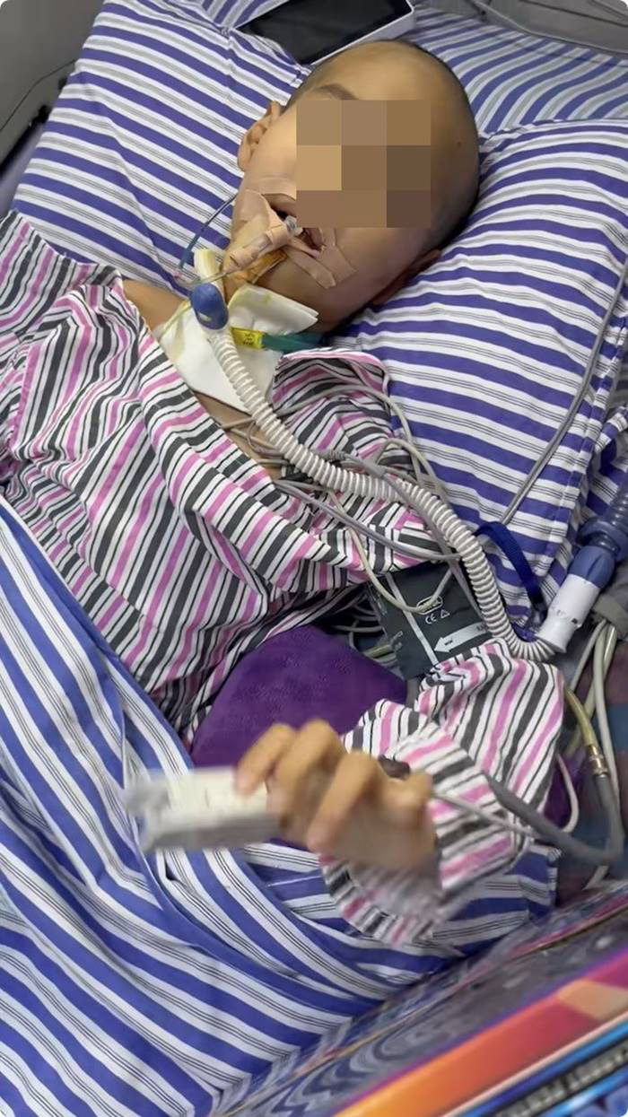 พลังบริสุทธิ์ พาเพื่อนกลับมา