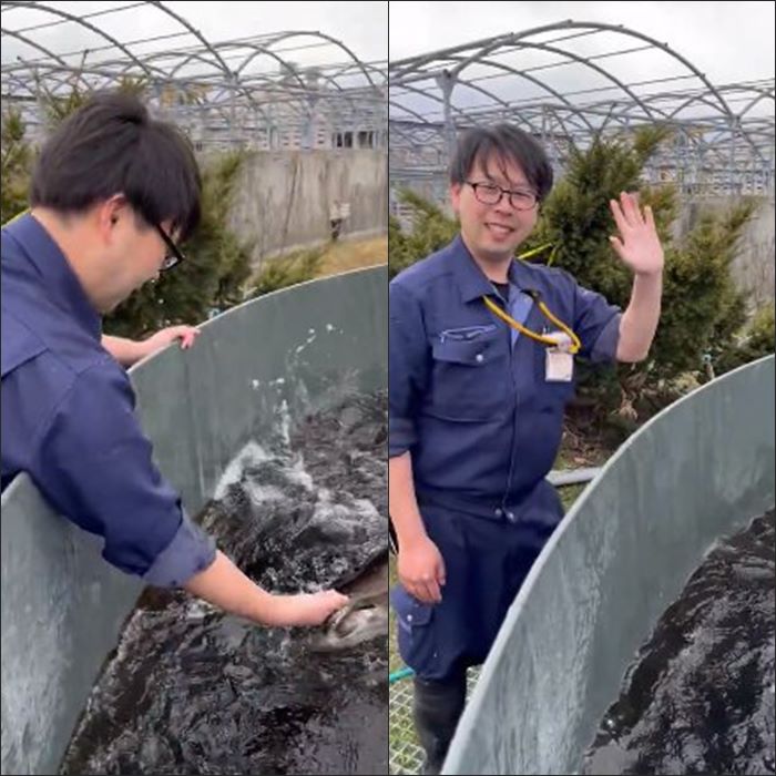 ปลางับแขน