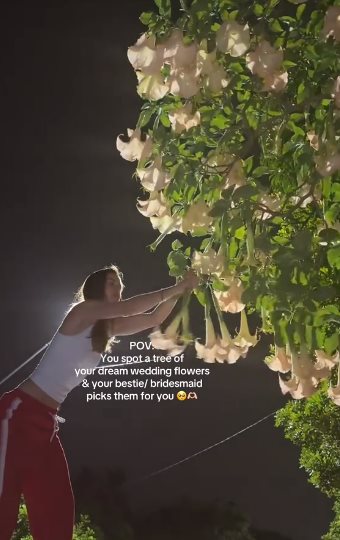 เลือกดอกไม้แต่งงานผิด หวิดทำแขกดับ