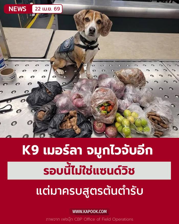 K9 เมอร์ลา