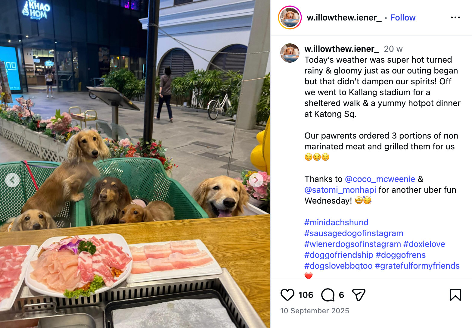 ให้หมากินในร้าน ยื่นจานให้โซ้ย 