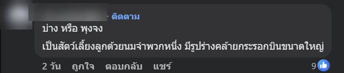 ตัวอะไร เข้าบ้าน !?  