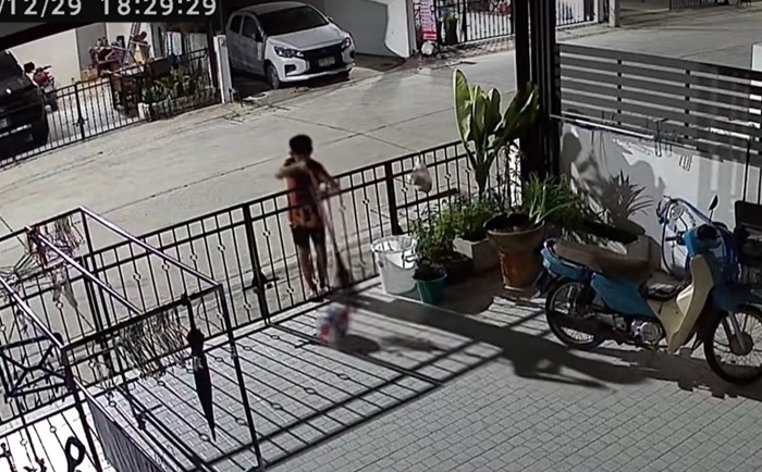 เมื่อบอลเข้าบ้านตอนที่เราไม่อยู่