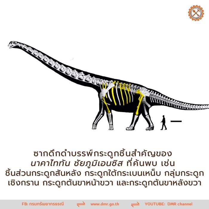 นาคาไททัน อายุเกิน 100 ล้านปี 