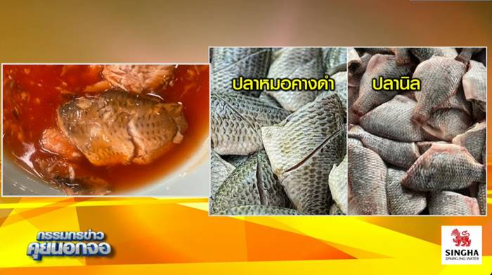 ปลากระป๋อง