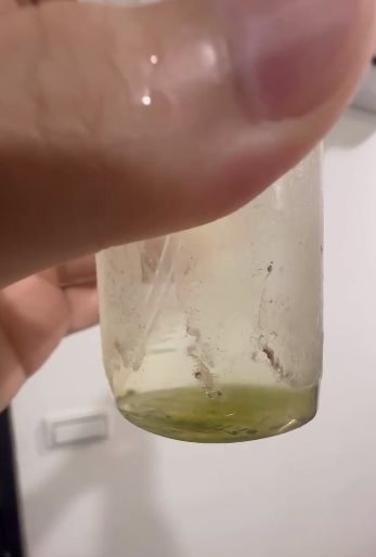 น้ำจากแม่น้ำคงคา 