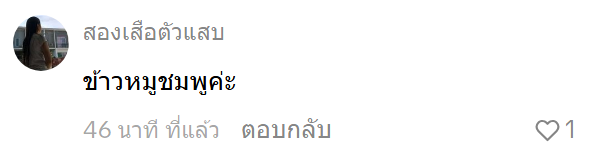  ข้าวหมูแดง 