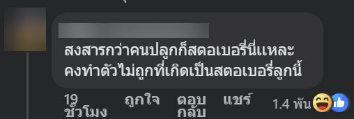 ปลูกสตรอว์เบอร์รี่