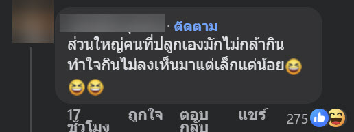 ปลูกสตรอว์เบอร์รี่