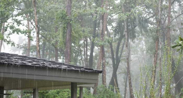 พายุฤดูร้อน