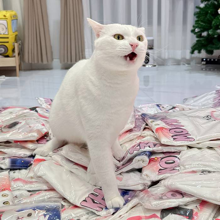  ไข่ขาวลูกแมร๊