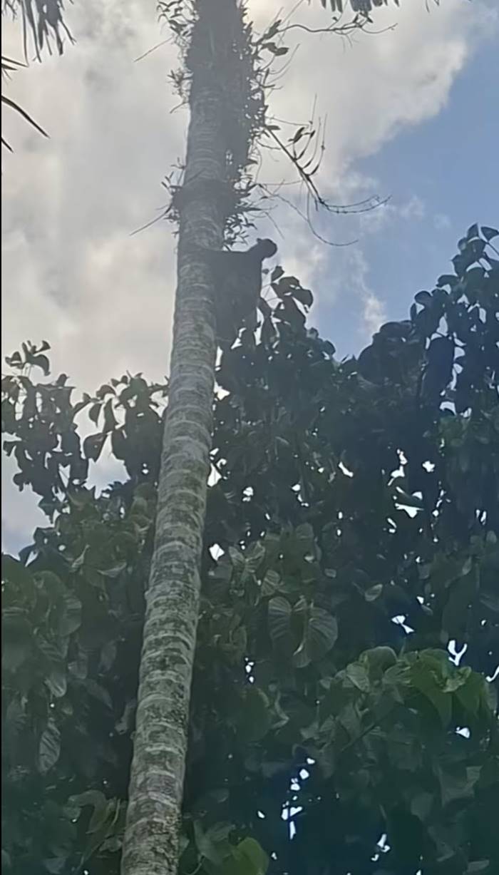 ตัวอะไร เข้าบ้าน !?  