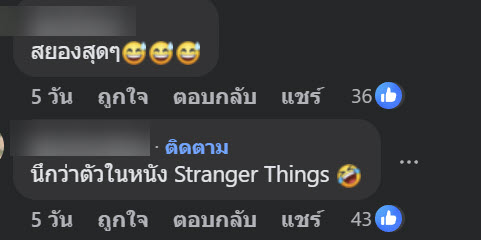 ฝูงตัวอะไรบนถนน
