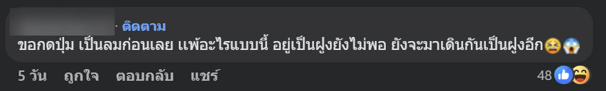 ฝูงตัวอะไรบนถนน