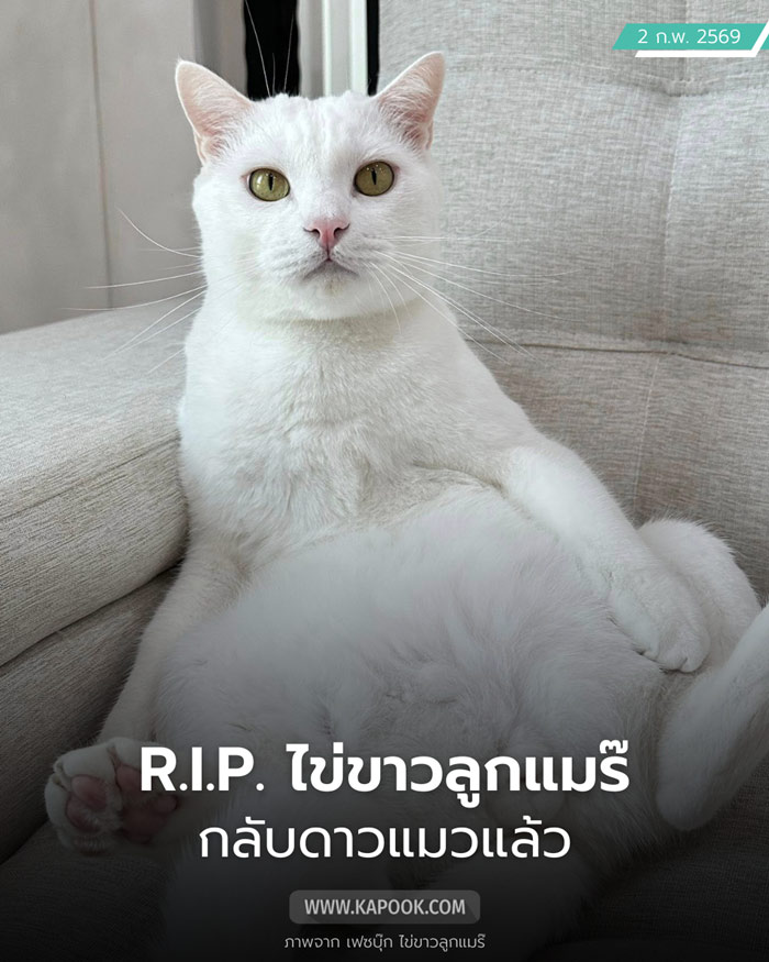  ไข่ขาวลูกแมร๊