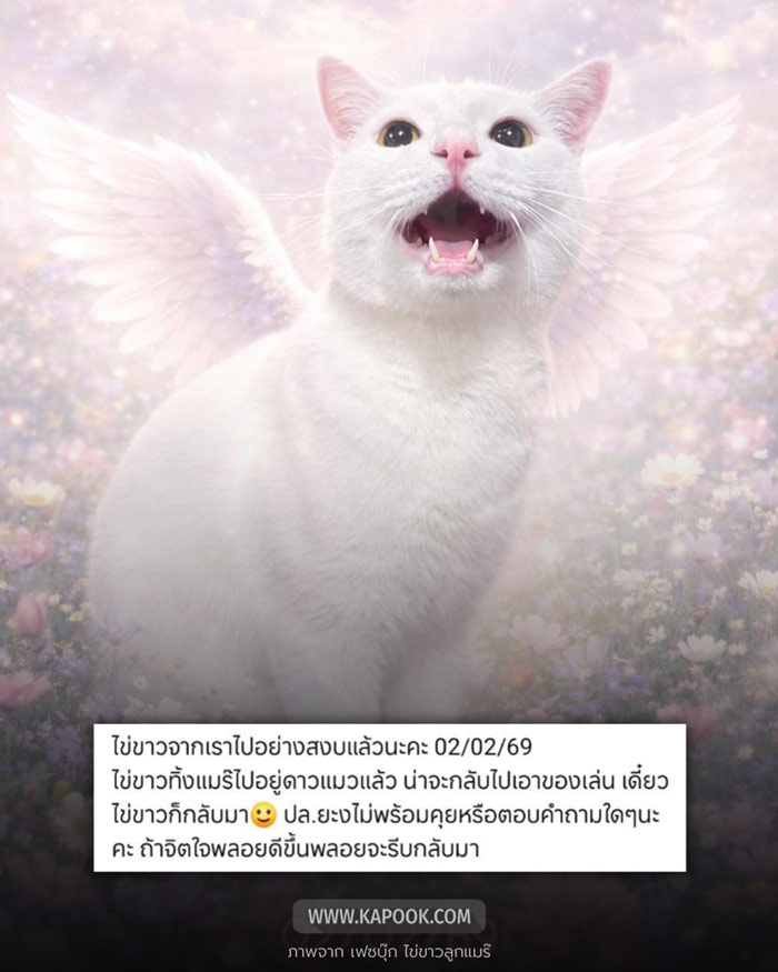  ไข่ขาวลูกแมร๊