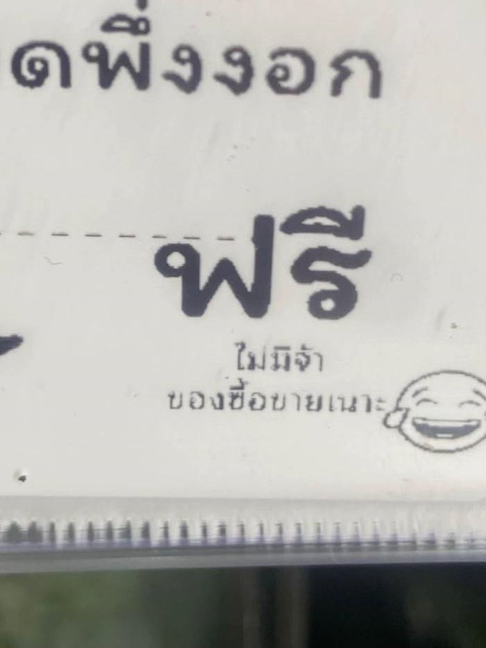 ข้าวโพด