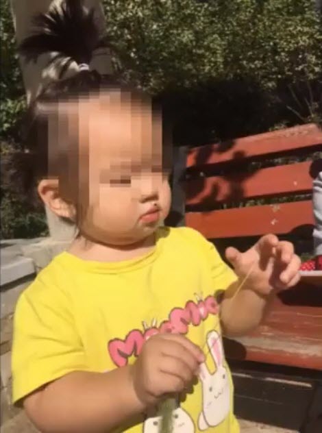  ตะปูจิ้มปลั๊กไฟ 