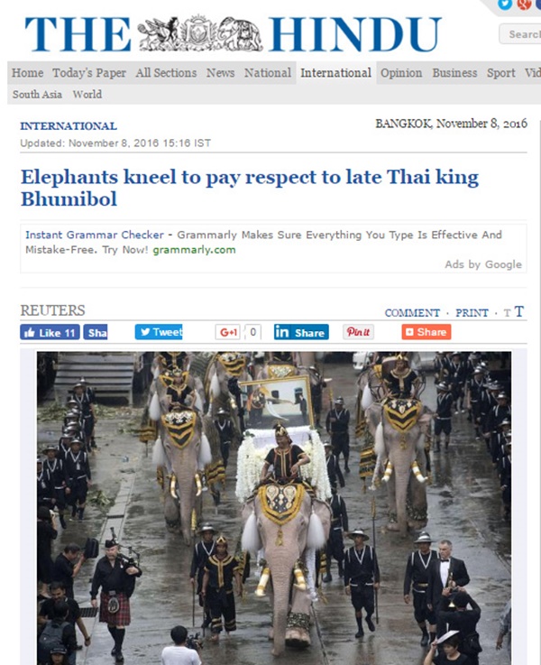 ช้างงางาม 11 เชือก 