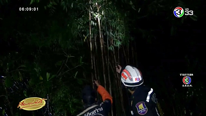 ต่อหัวเสือต่อย