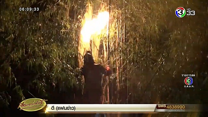 ต่อหัวเสือต่อย