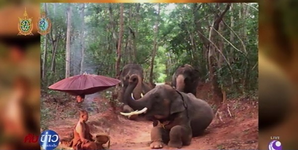 ภาพช้างแสนรู้  