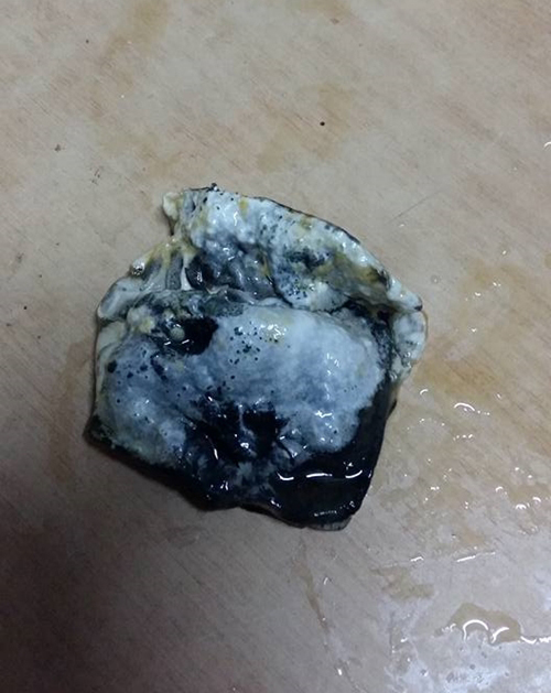 น้ำผลไม้บรรจุกล่องขึ้นรา