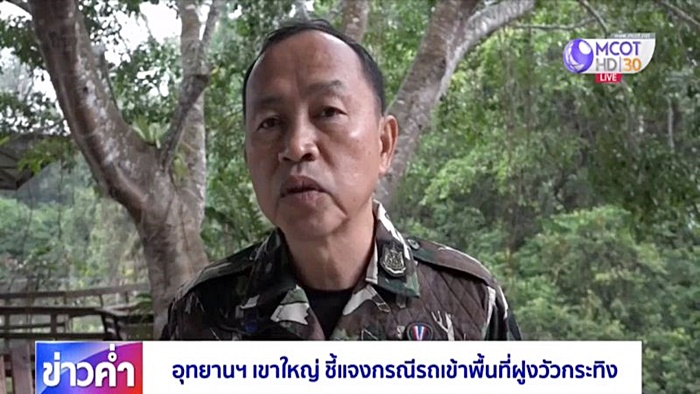 พระวัดดังนำคณะทัวร์ VVIP ชมฝูงกระทิงเขาแผงม้า 