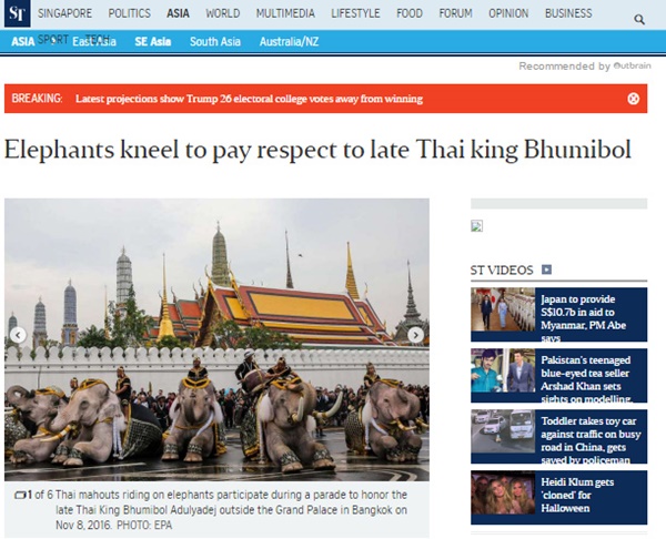 ช้างงางาม 11 เชือก 