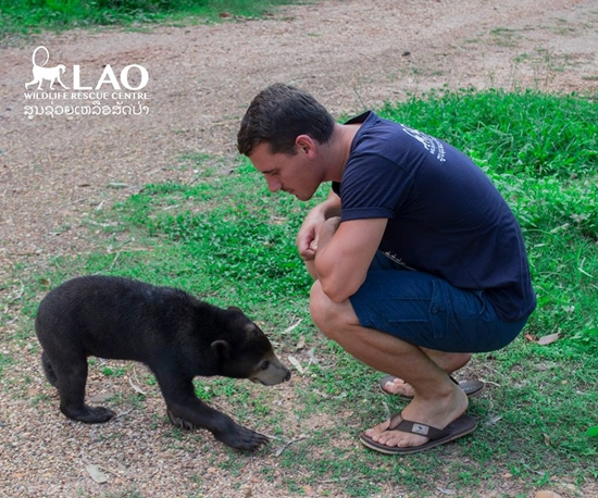 ขายลูกหมีหมา