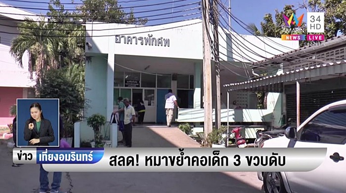 สุนัขขย้ำเด็ก 3 ขวบ