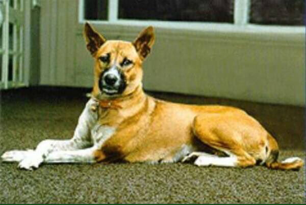 ข่าวคุณทองแดง เสียชีวิต