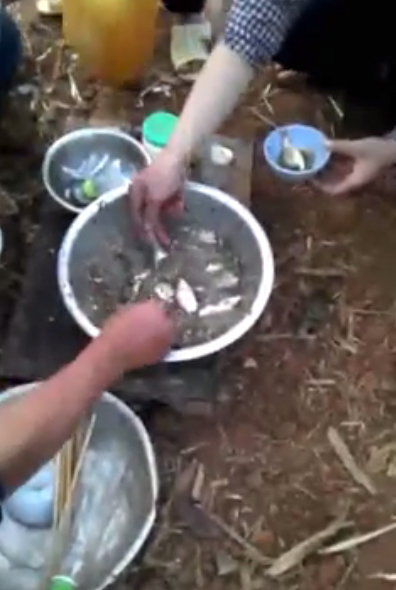 คลิปชาวเวียดนามเปิบพิสดาร