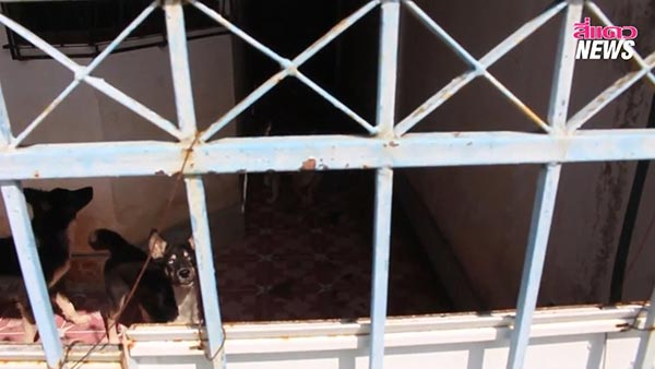 ขายบ้าน