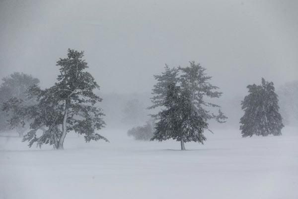 บอมบ์ไซโคลน