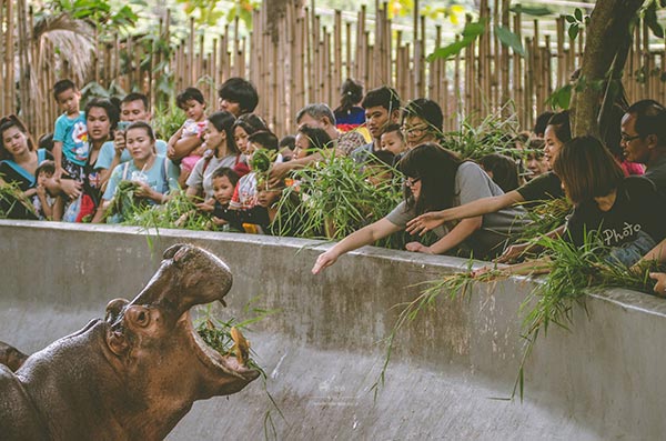 บัตรคนจน