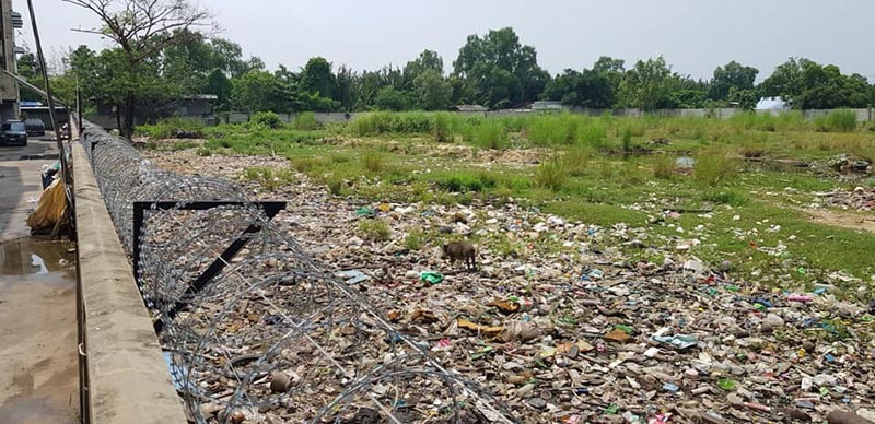 ขังหมูป่า