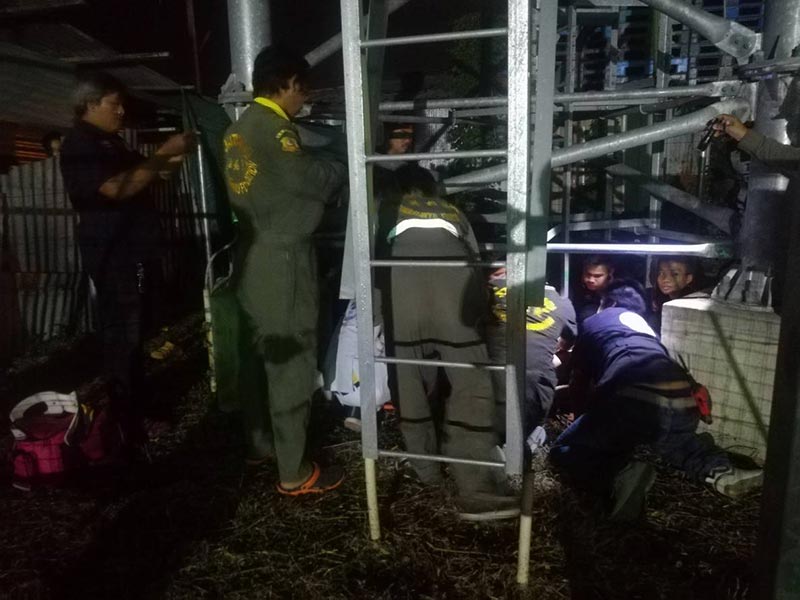 ปืนเสาสัญญาณ