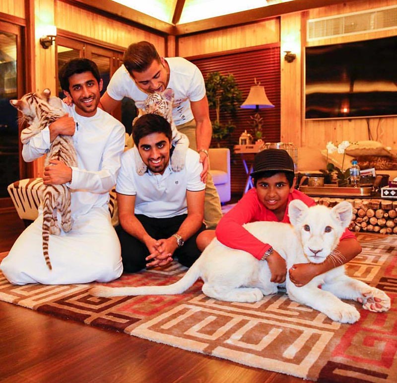 คฤหาสน์หรู