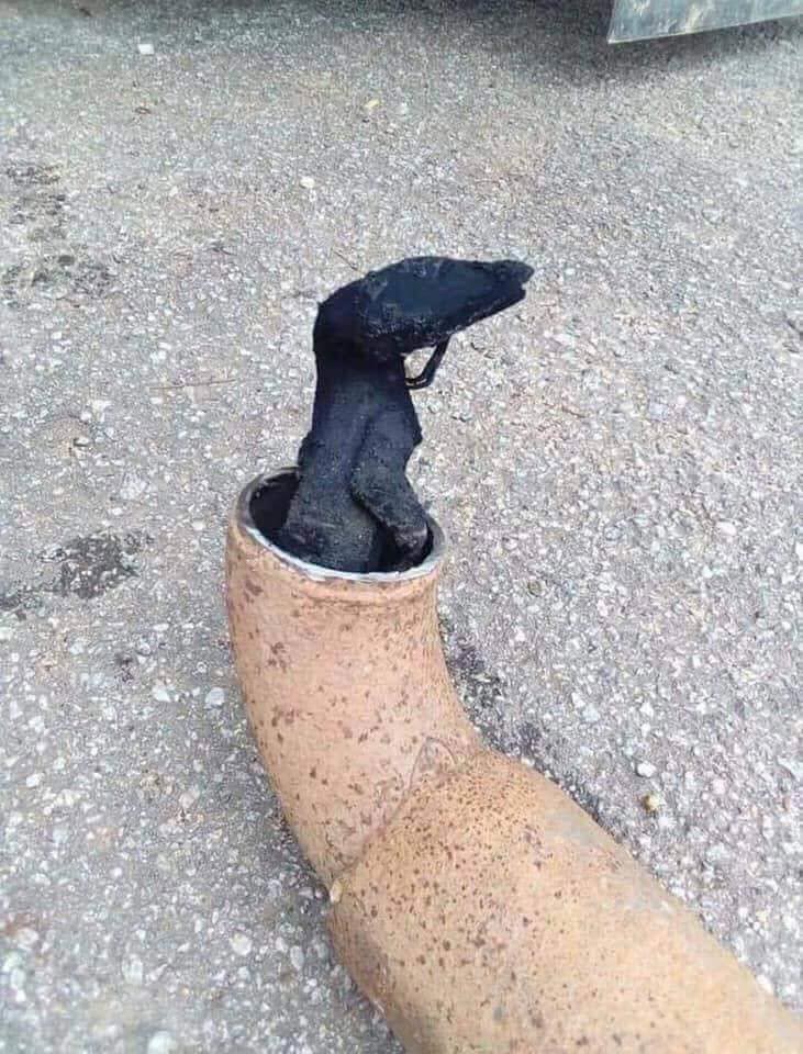 ตัวเงินตัวทอง