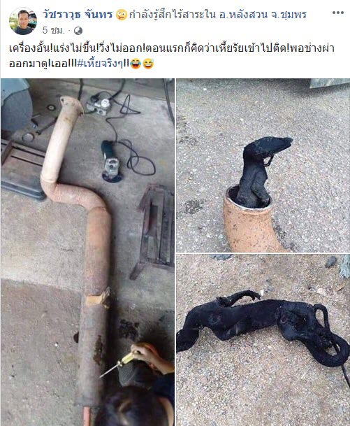 ตัวเงินตัวทอง