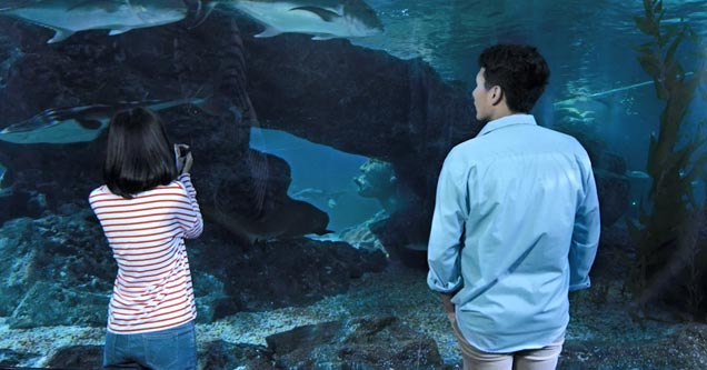 OneSiam The Extraordinary Clip