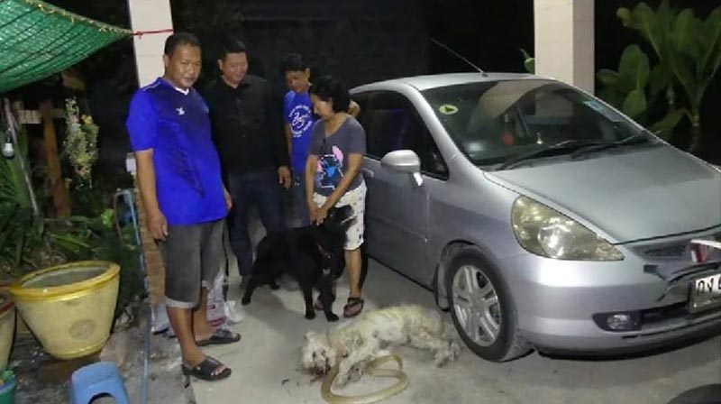 ปกป้องเจ้านาย