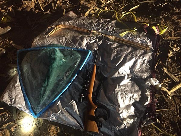 ล่าสัตว์ป่า