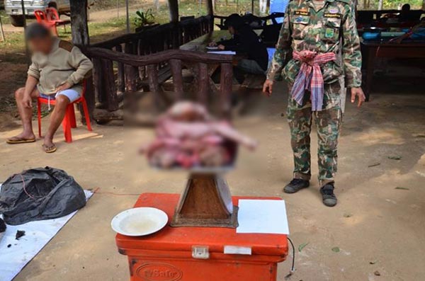 ล่าสัตว์ป่า