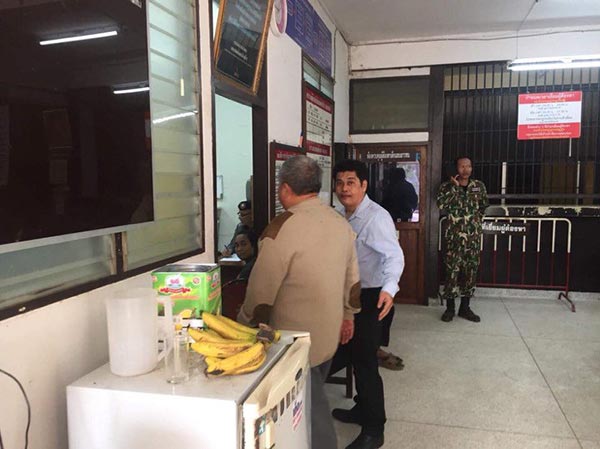 ล่าสัตว์ป่า