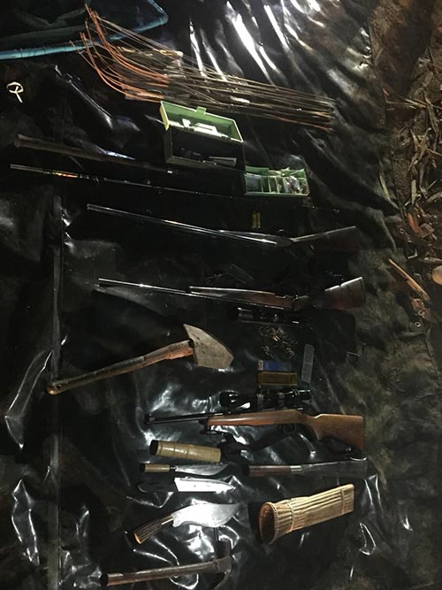 ล่าสัตว์ป่า